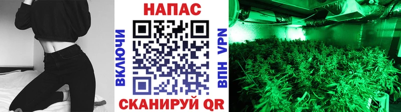 Бошки Шишки конопля  Зарайск 